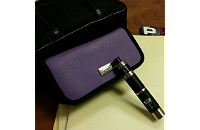 Pandoras Enigma Handmade Leather Case (Allium) image 1